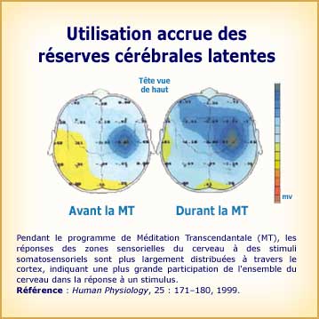 Méditation Transcendantale et utilisation des réserves latentes du cerveau